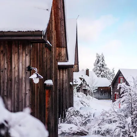 Vakantiehuis Ferienhaeuser, Torfhaus
